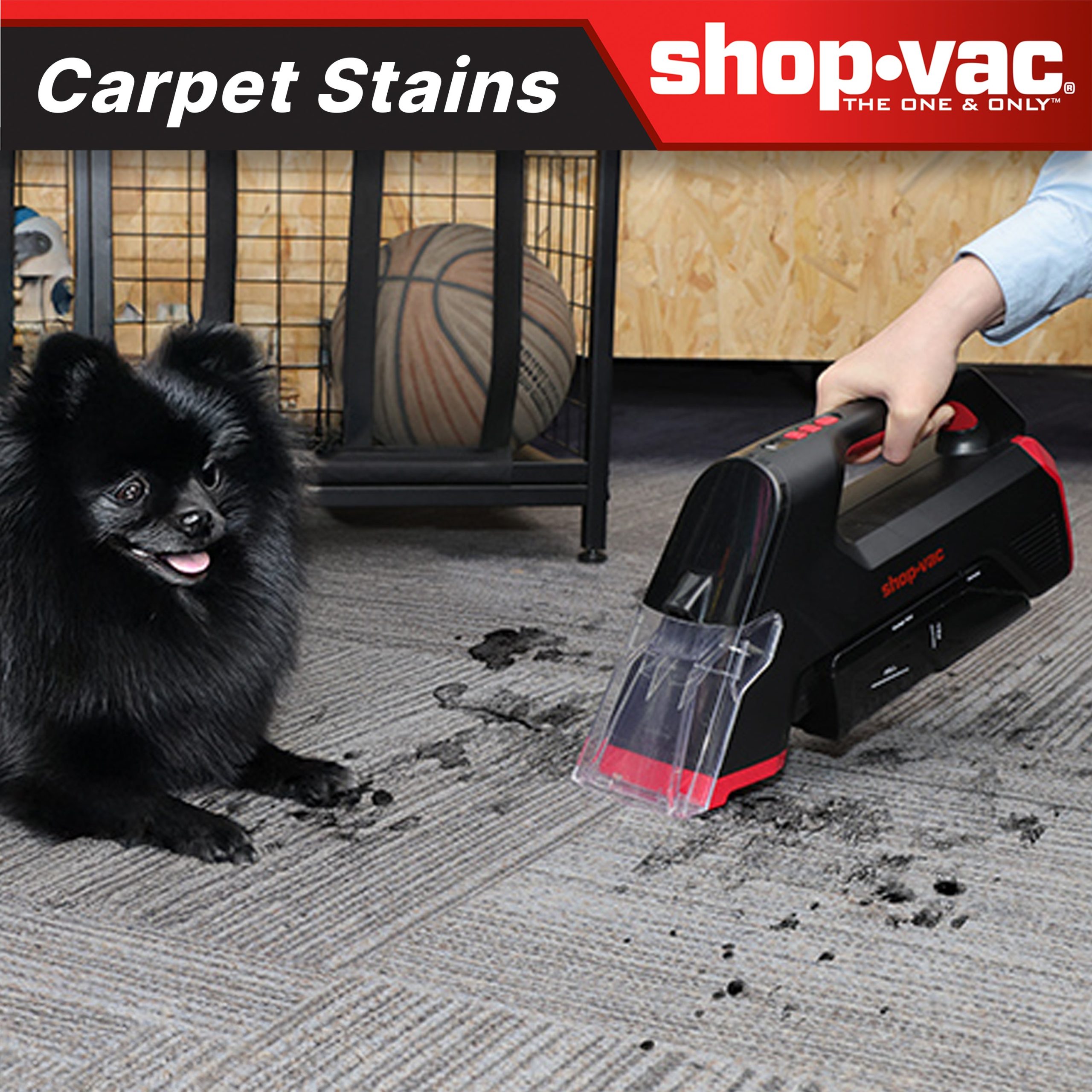 Shop-Vac® 3-in-1 Cordless Spot Cleaner - Image 11