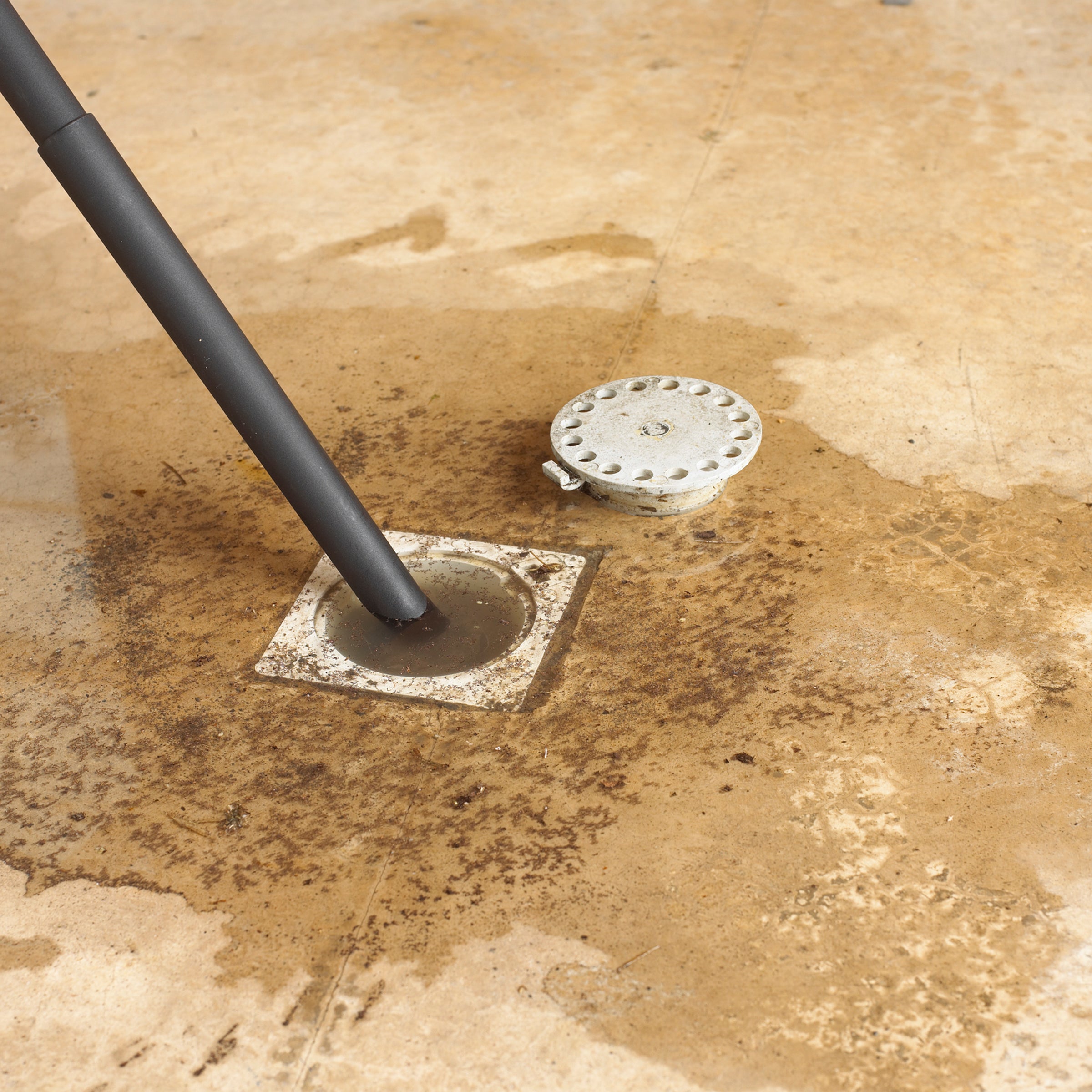 Shop-Vac® Foam Sleeve - Image 4