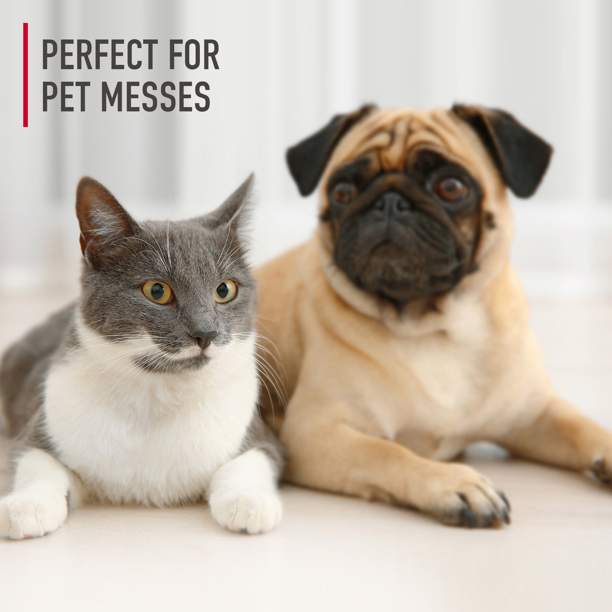 Paws & Claws Carpet Cleaning Solution 64 oz. - Image 4